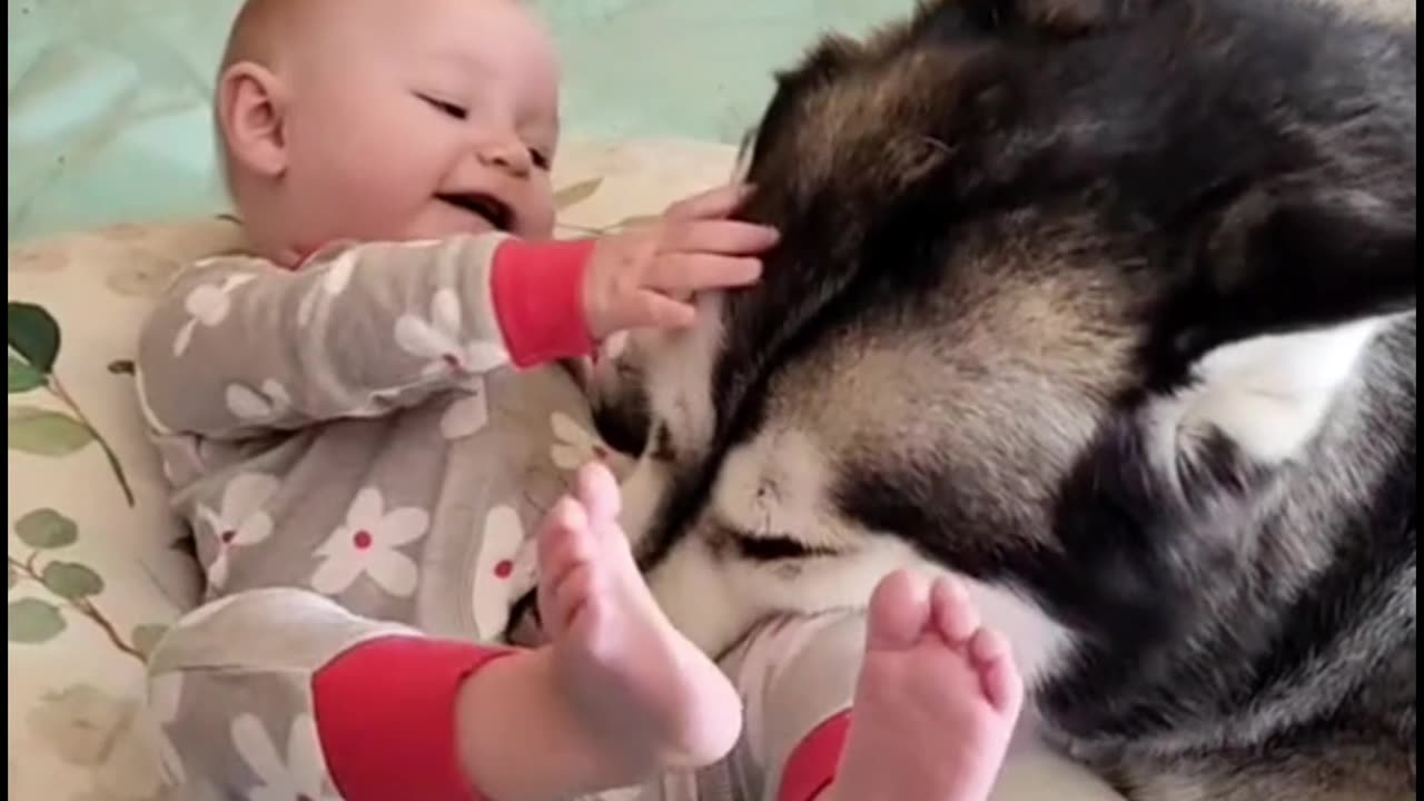 puppy and babies look really cut