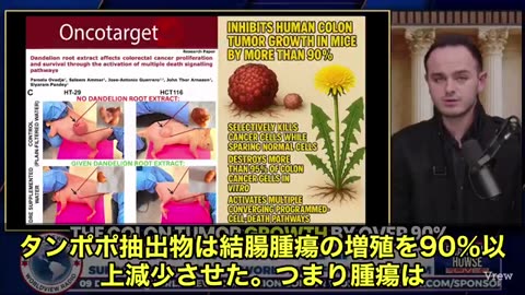 たんぽぽの根（ダンデライオンルート）が、なんとがん細胞の95％を破壊したという驚きの結果が出ました。