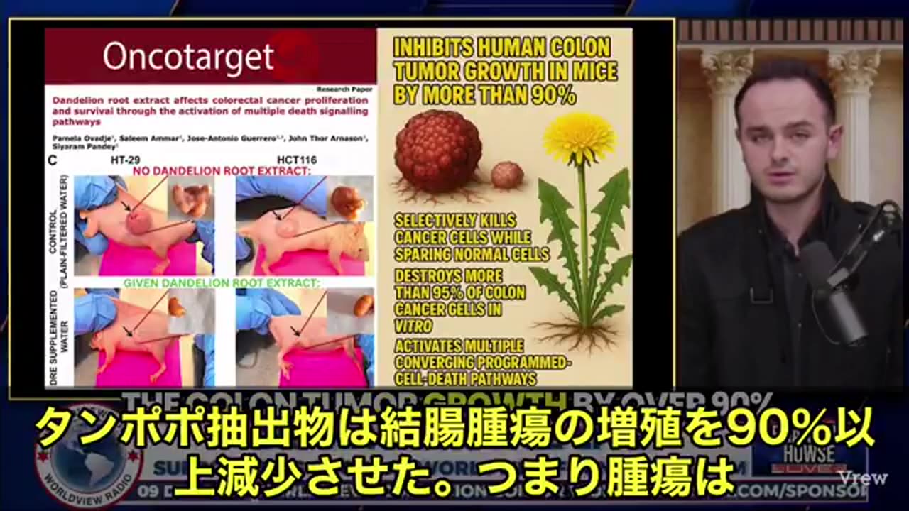 たんぽぽの根（ダンデライオンルート）が、なんとがん細胞の95％を破壊したという驚きの結果が出ました。