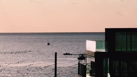 Daily Horoscope | Gemini 🌟