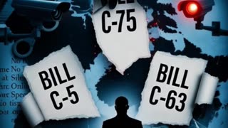 Engineered Chaos: How Ottawa Made Crime a Policy