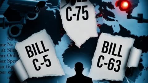 Engineered Chaos: How Ottawa Made Crime a Policy