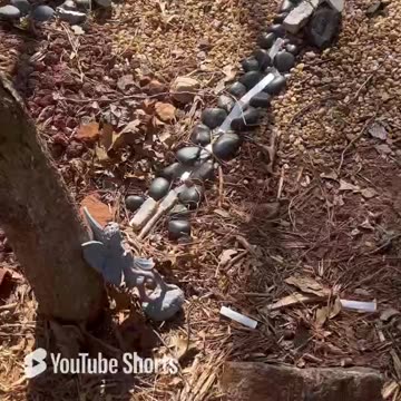 Connecting To Your Higher Self Is Your Divine Right #medicalintuitive #sourceenergy