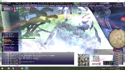 Playing Final Fantasy XI Online