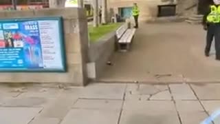 The NWO foot soldiers stand by as a Muslim terrorists burned their van