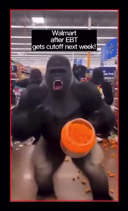 Gorillas when EBT get shut off