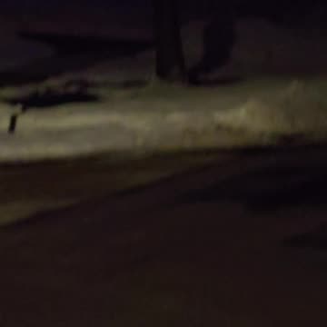 I LIKE BIG BUCKS & I CANNOT LIE