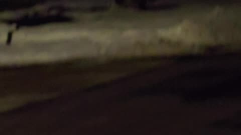 I LIKE BIG BUCKS & I CANNOT LIE