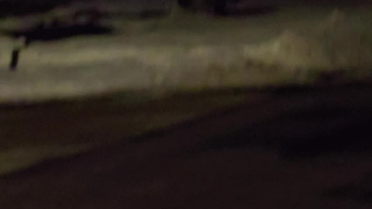 I LIKE BIG BUCKS & I CANNOT LIE