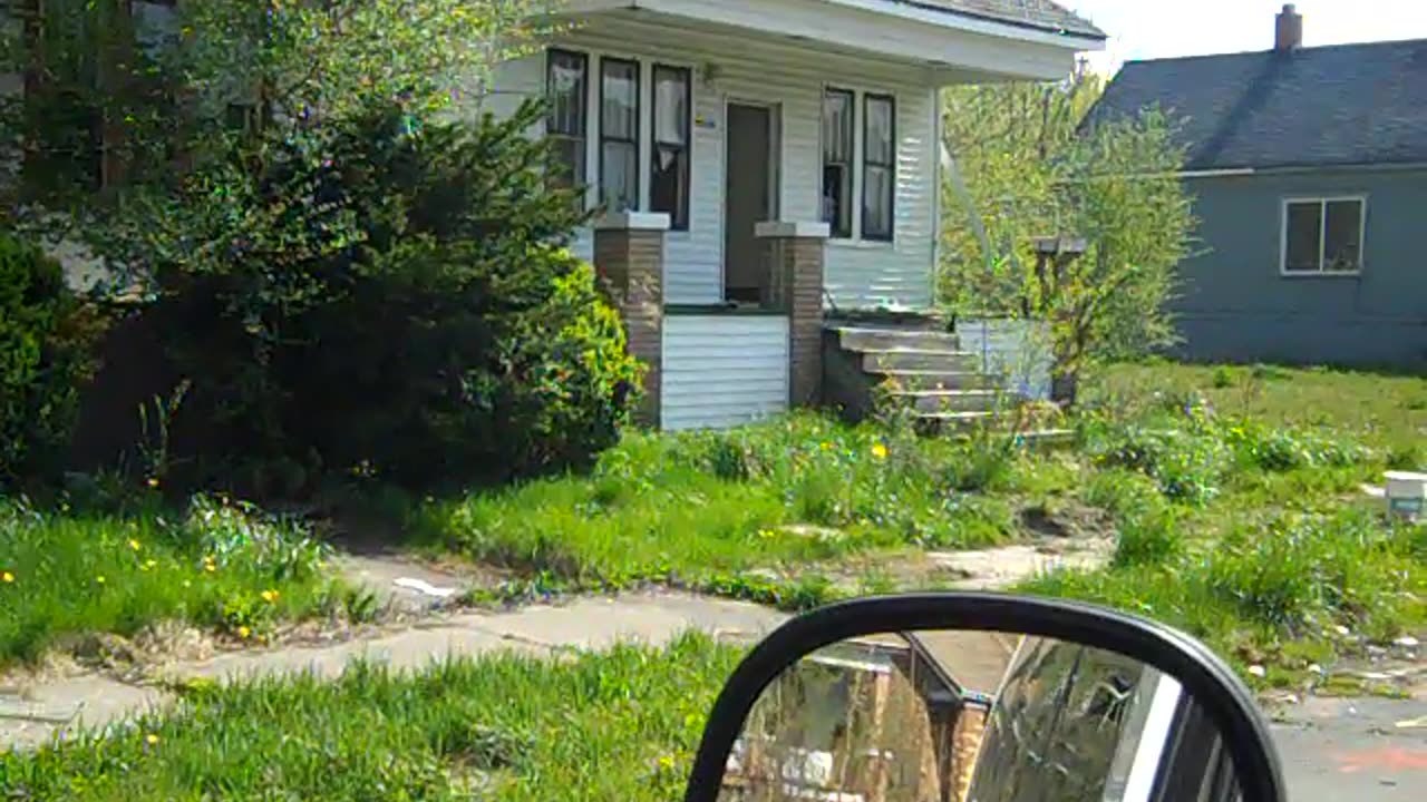 I am still amazed how People can fuck up where THEY LIVE SHEA SHOW