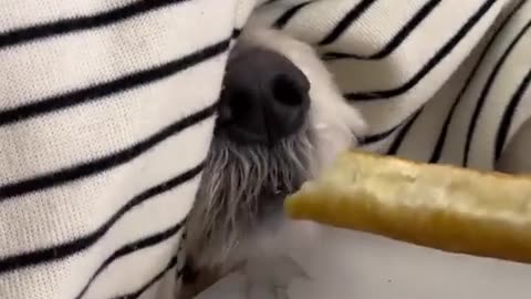 ๐๐ This Peek Will Make You Laugh Out Loud! | FunFM