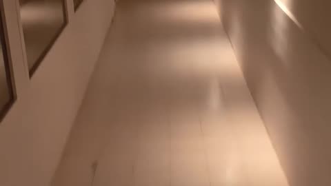 😨👽 What in the Backrooms was that? | TheHauntingHour