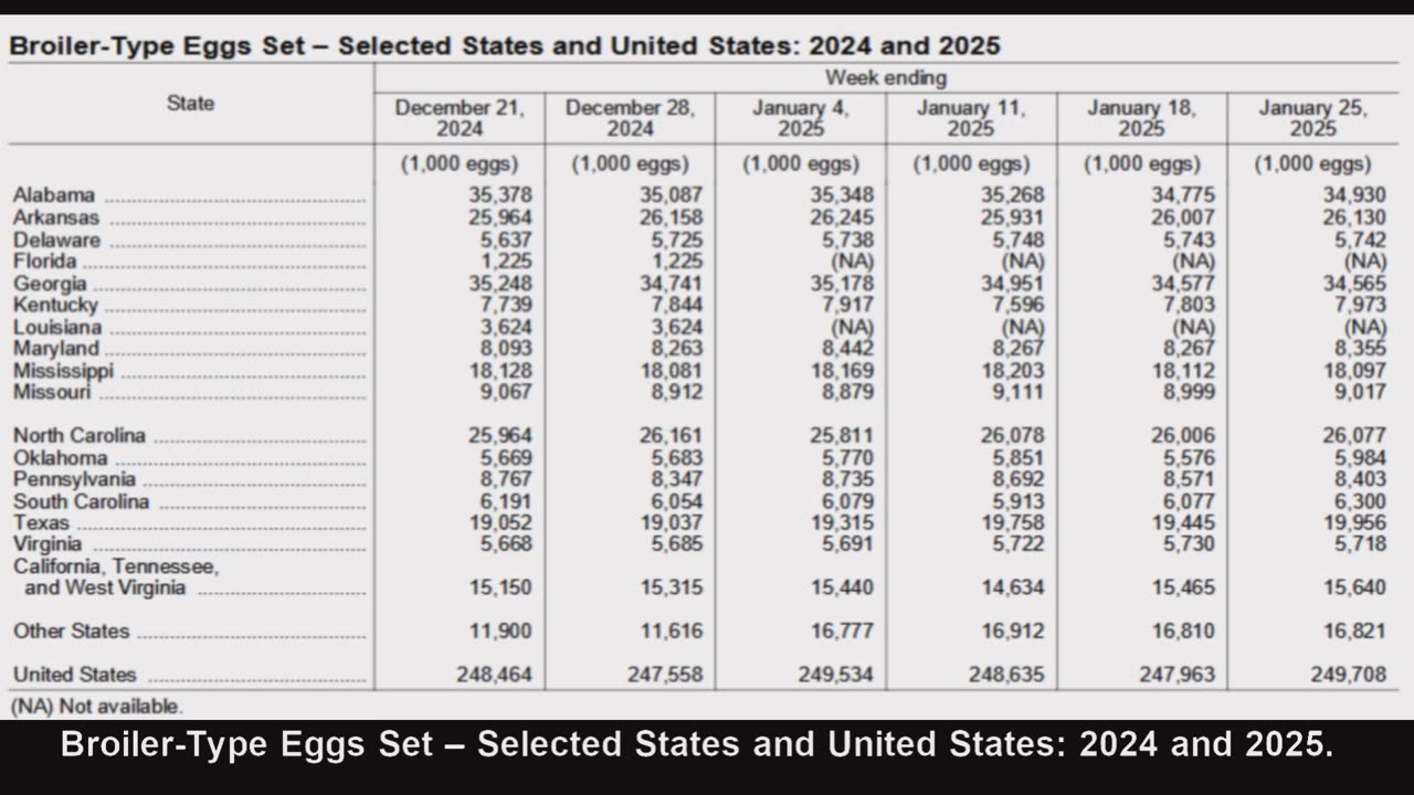 Broiler-Type Eggs Set in the United States Up 4 Percent