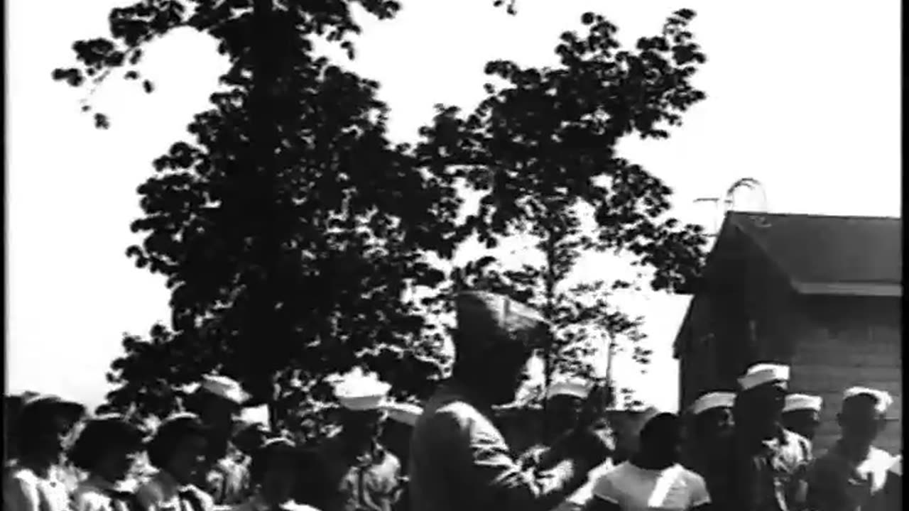 [FRESHMAN OF THE FLEET] - [FRESHMAN OF THE FLEET] - fc-fc-4267