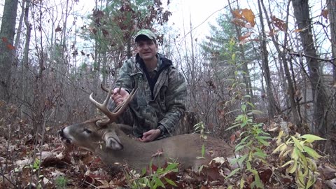 Hunting Whitetail Deer Public Land NY - 8 pointer