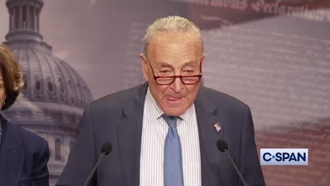 Chuck Schumer: "Trump Plunged Country into Chaos with Sudden Halt on Federal Funds"