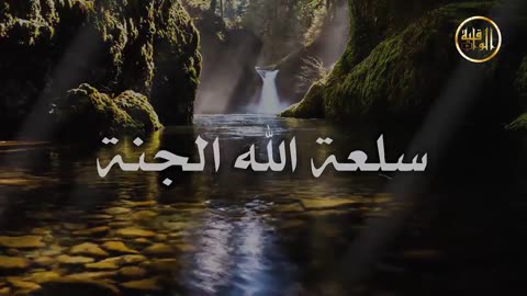 برقية عاجلة لا تغلق الباب!