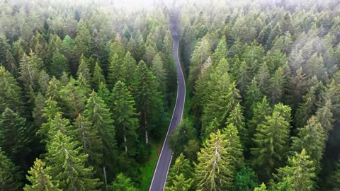 Calm Beats & Jazz Keys