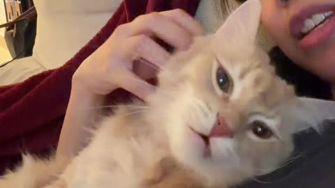 Catching Up With My Conversational Cat