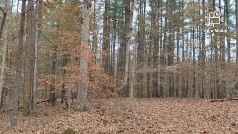 My daily hike to my bike