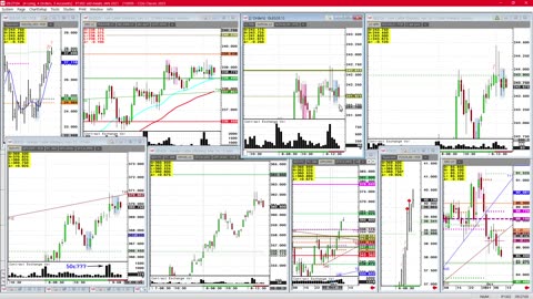 Cattle up28% 40% IS THIS IT? SOLD