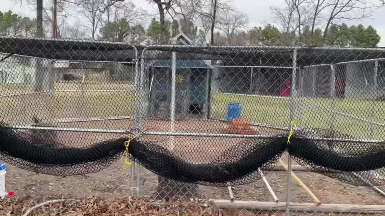 Review 1" Heavy Knitted Netting | Pinnon Hatch