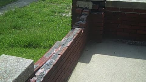 BLAINE ST 4 NIYI,, THE SHEA SHOW.AVI