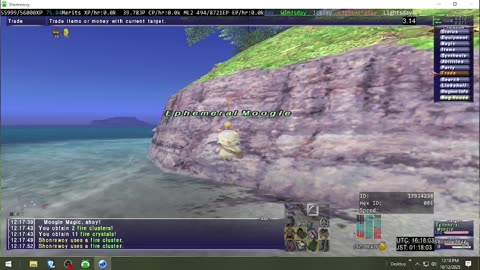 Playing Final Fantasy XI Online
