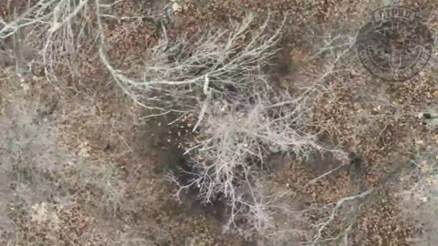 Ukraine war combat footage /related 11/13/2025