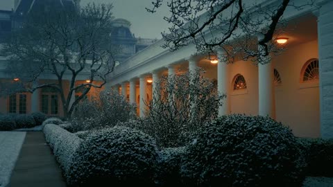 The White House looks beautiful & peaceful right now.