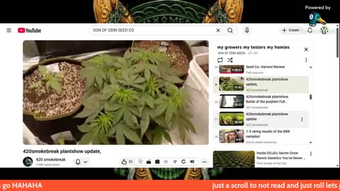 some of my GROWER FAM TESTER FAM ALL OUR SEEDS