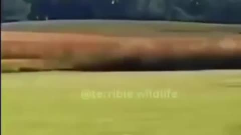 Little Plane Big Impact