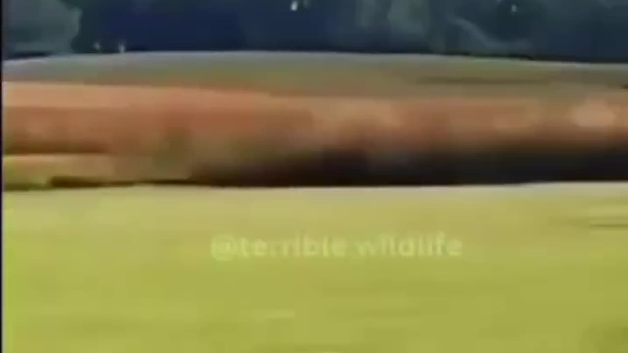 Little Plane Big Impact