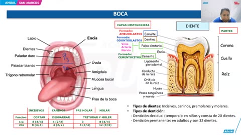 ANUAL ADUNI 2024 | Semana 29 | Biología | Física