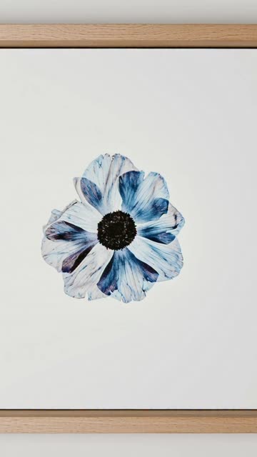 Winter Mega Digital Art Bundle | 500+ Artworks Only $6.69