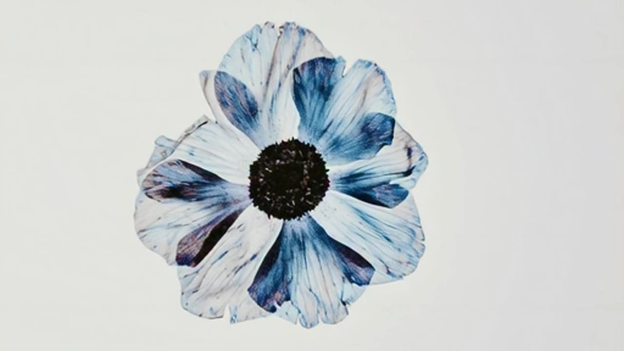 Winter Mega Digital Art Bundle | 500+ Artworks Only $6.69