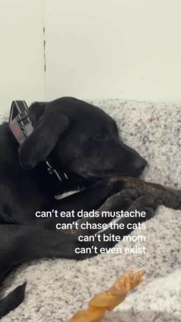 Can't even exist 😞