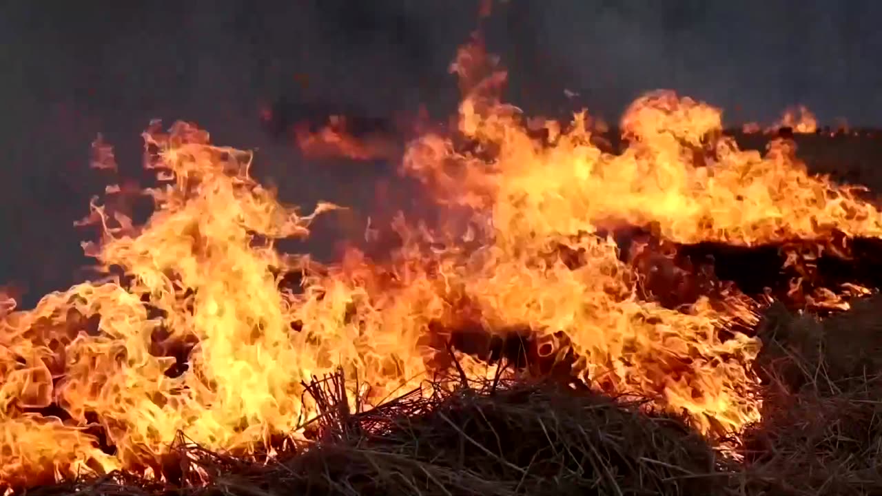 Farmers in Punjab burn fields for sowing as smog blankets Delhi