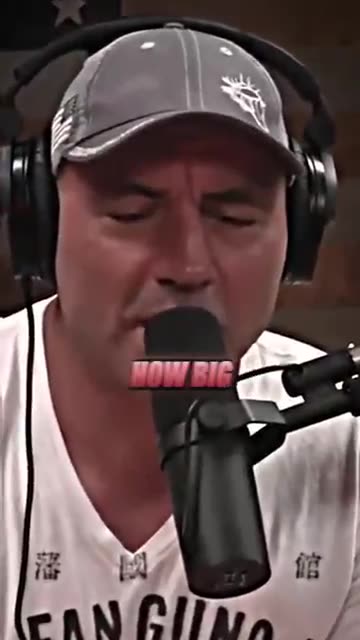 Bears Are DANGEROUS 😬 ft. Joe Rogan