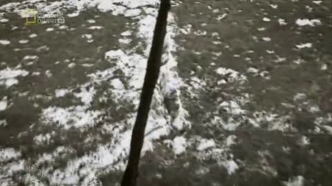 WYBAWIENIE dokument pl