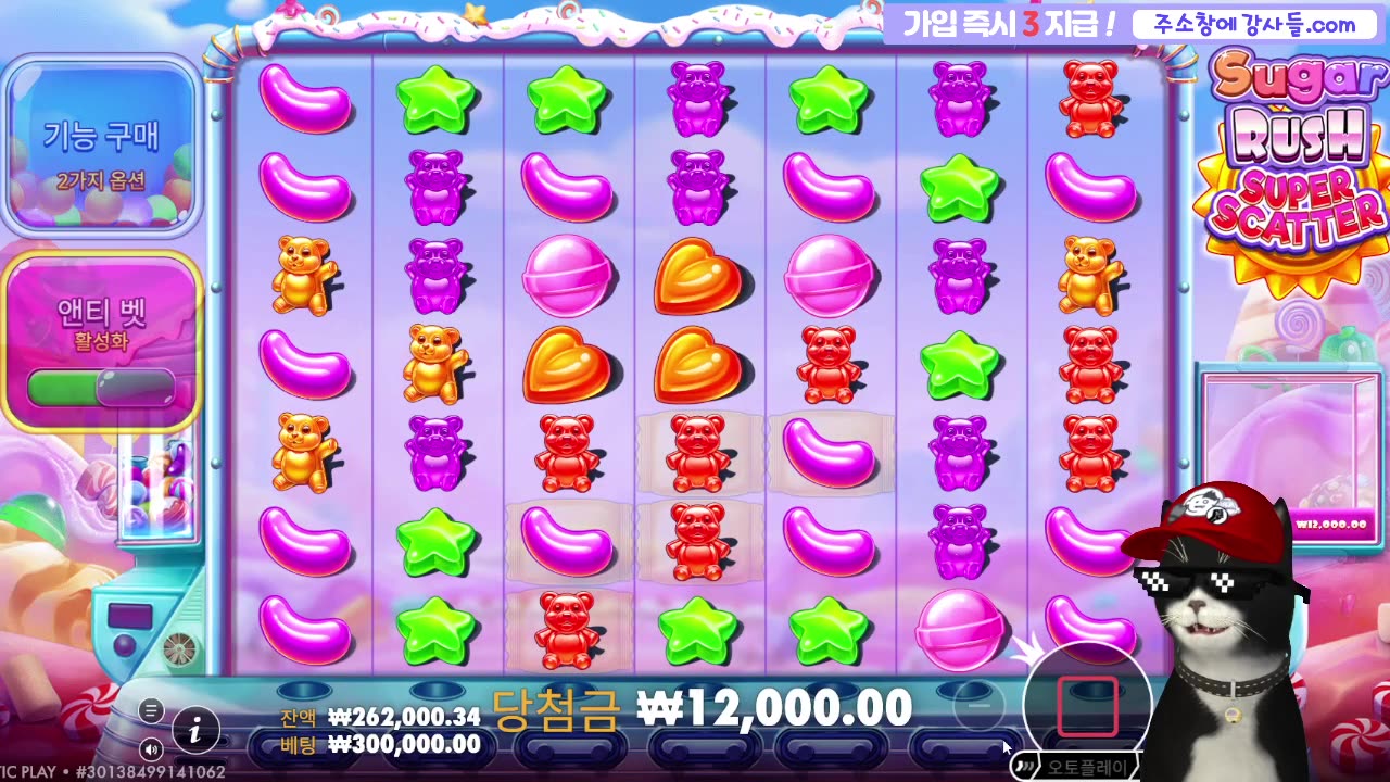 [슬롯 생방송] 슬롯강사들 2부 냥이