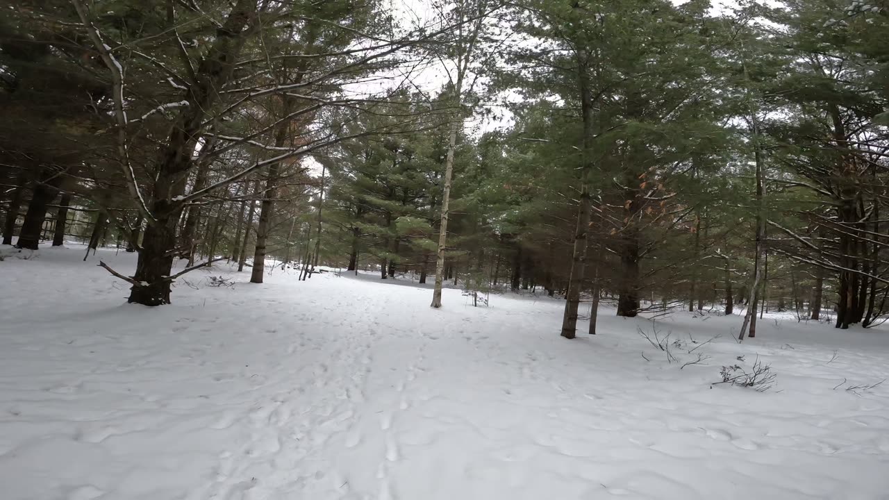 ❄️2025⛷️02-03☃️ Hiking Bruce Pit Trails In Ottawa Part 1🍁 Winter Edition Canada 🌴❄️⛷️☃️🍁