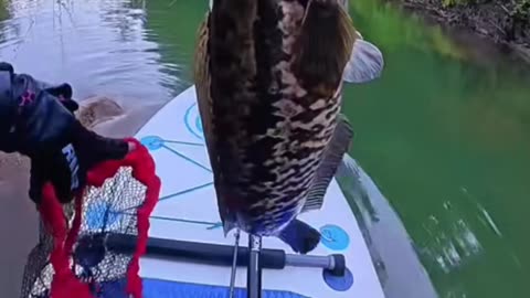 This Monster Fish Almost Pulled Me In! 🤯
