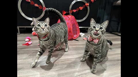 Episode 3095 - The Scott Adams School 02/16/26