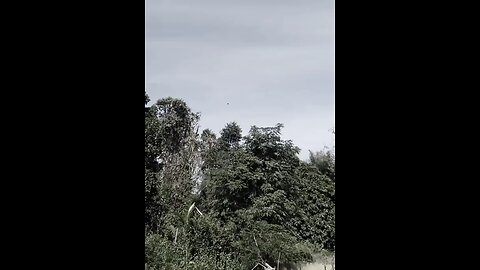 🇹🇭🇰🇭⚡️- A Thai KB-5E loitering drone (knockoff of the Iranian