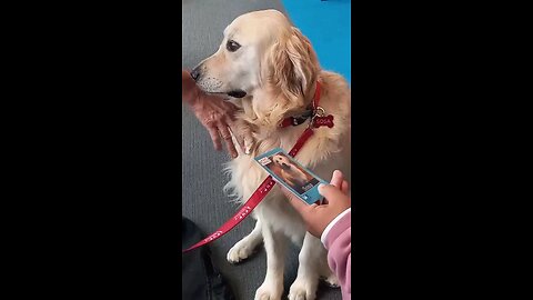 Health Wellness Event. Salud Bienstar Evento. 11.22.2025 #SuperLuisPodcast #Podcast