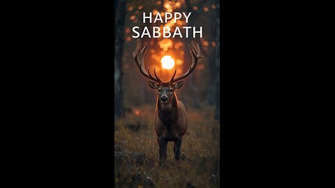 Happy Sabbath