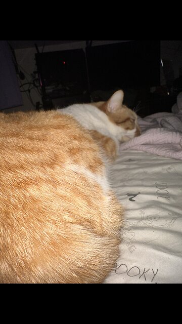 Do you eat boiled eggs with olive oil? #breakfast #food