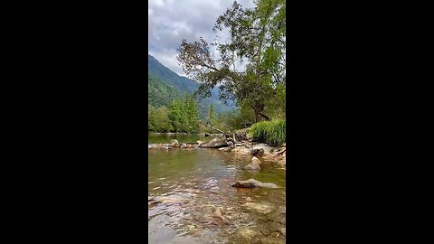 Beautiful River Flow 🌿 | Calming Nature Scenery in 4K