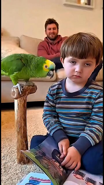 funny parrot